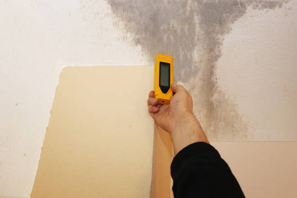 Best Emergency Mold Remediation  in Cos Co, CT