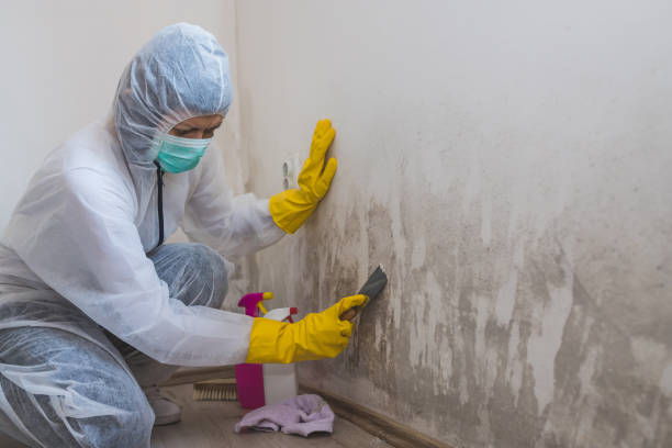 Best Mold Remediation for Healthcare Facilities  in Cos Co, CT