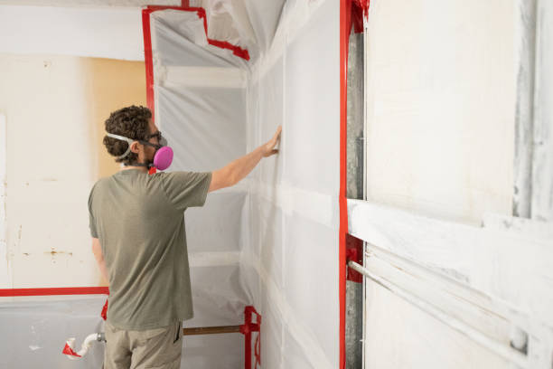 Best Forensic Mold Investigation  in Cos Co, CT