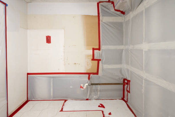 Best Post-Remediation Verification Testing  in Cos Co, CT