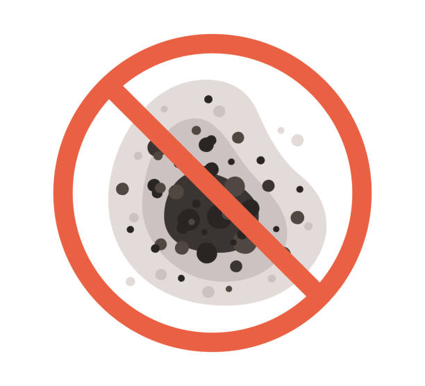  Cos Co, CT Mold Removal Pros