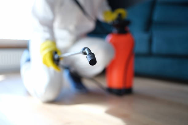Reliable Cos Co, CT Mold Removal Solutions
