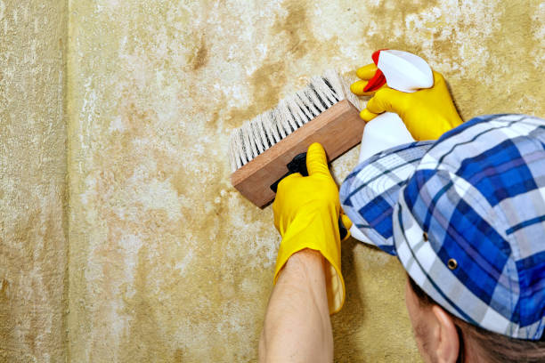 Best Air Quality Testing for Mold Spores  in Cos Co, CT