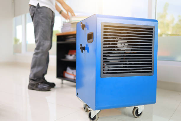 Best Mold Odor Removal Services  in Cos Co, CT